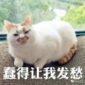 书友820397684的头像