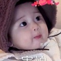 西贝袄的头像