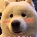 嗨皮的头像