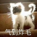 书友881738601的头像