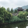 淼淼李的头像