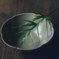 灵巧的小绵羊在泡茶的头像