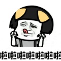 vipbear的头像