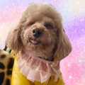 书友737337189的头像