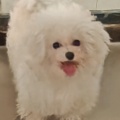 祁皖筱的头像