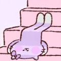 七七的头像