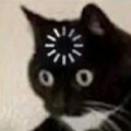方先生的头像