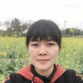 13711632662的头像