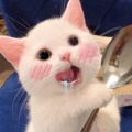 姜凉的头像
