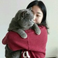 李小九的头像