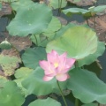 春暖花开陈玉春的头像