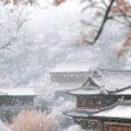孤井无波的头像