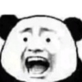 陈玄的头像