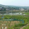 书友1180595460的头像