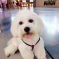 书友1412584838的头像