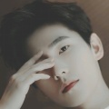 Vivien的头像