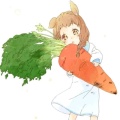 浅墨吖的头像