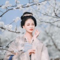 荷花的头像