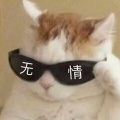 猫六六的头像