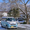 雪花飘的头像