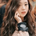 @indulgence的头像