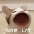 万青的头像