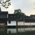 月下有光的头像