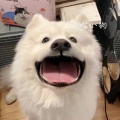 冷酷的守卫在睡觉的头像