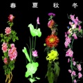 圆圆的头像