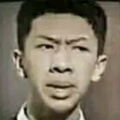 辞衫的头像