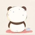 书友28311的头像