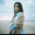 青梅往事的头像