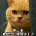 全村的希望的头像