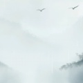 浅梦已无痕的头像