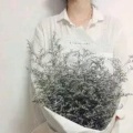 书友913597107的头像