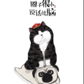 书友893147627的头像