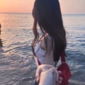 巷子的头像