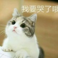 笙妹的头像