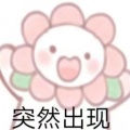 樱桃小丸子的头像