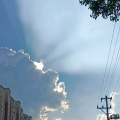 余温煮酒的头像