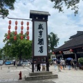 憨厚的小海豹的头像