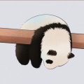 晚安呐乔乔的头像