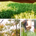 自我道的头像