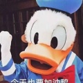 每天都在看小说的头像