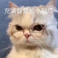 五月小雨的头像