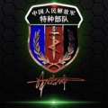 特种兵的头像