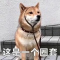 书友 1862532714的头像