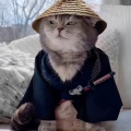大怨种的头像