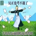 豆腐来了的头像