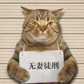 机敏的学渣在学习的头像